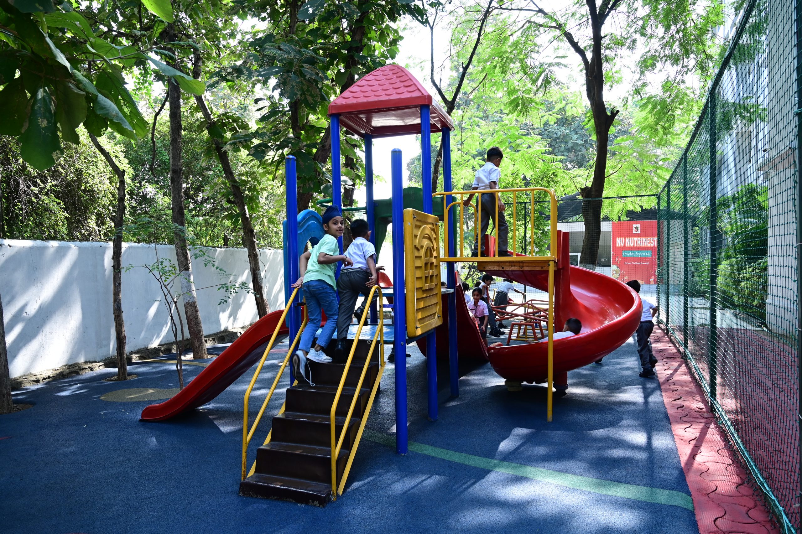 jungle gym narayana