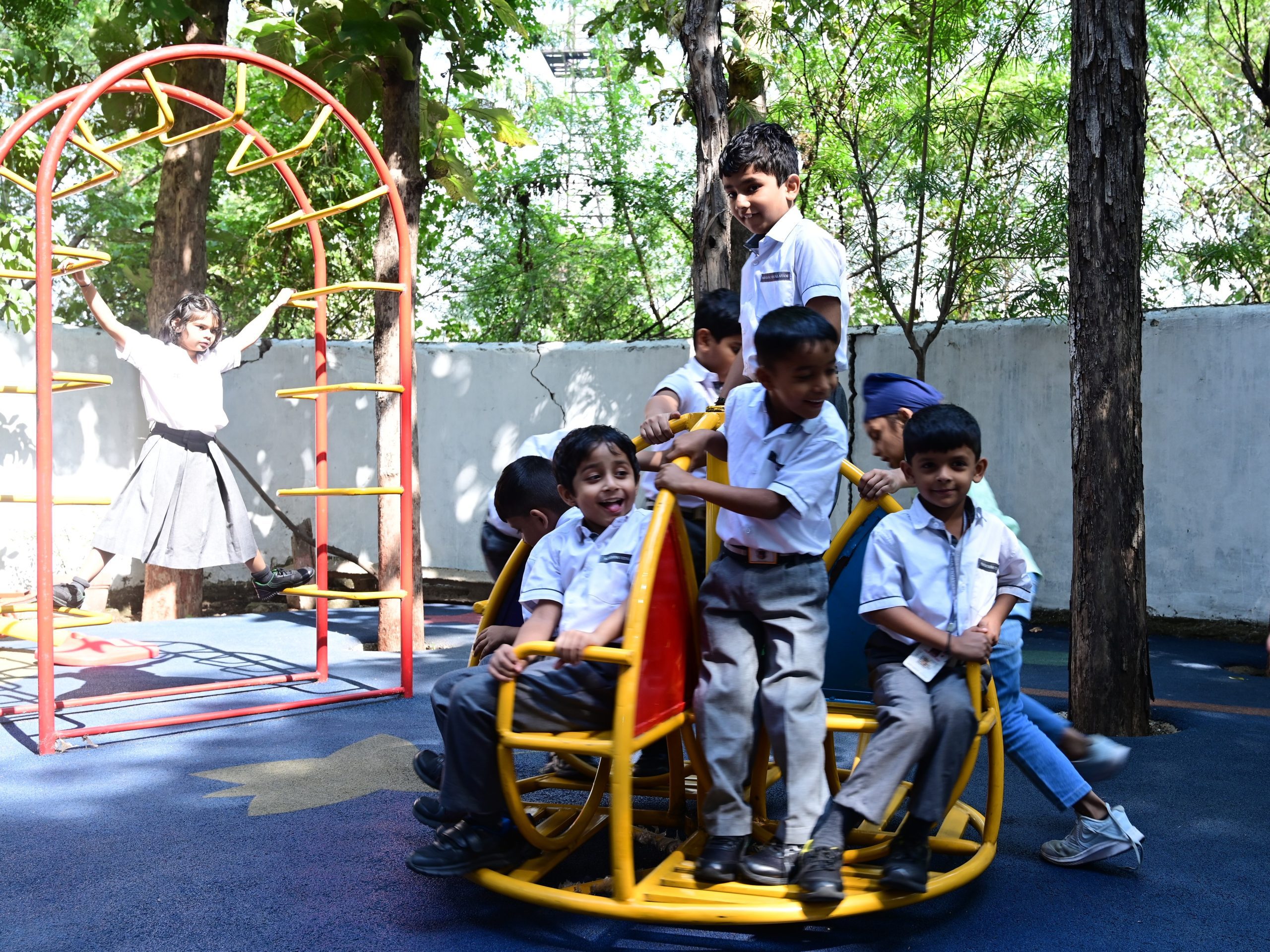 Jungle Gym Narayana Chinchbhuvan (3)